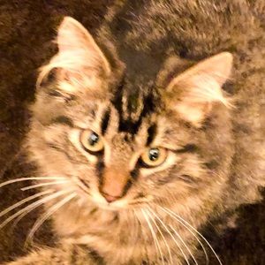 Meet your Posher, Richard